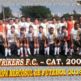 COPA MERCOSUL 2018