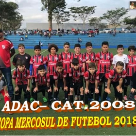 COPA MERCOSUL 2018