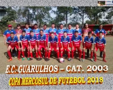 Campeonatos Atuais