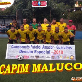 DIVISÃO ESPECIAL - 2019 - ULAFA -  FINAL