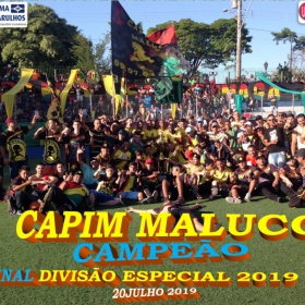 DIVISÃO ESPECIAL - 2019 - ULAFA -  FINAL