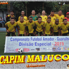 DIVISÃO ESPECIAL - 2019 - ULAFA -  FINAL
