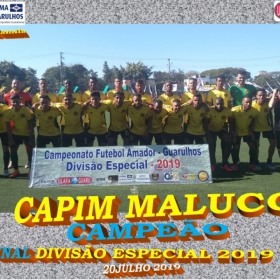 DIVISÃO ESPECIAL - 2019 - ULAFA -  FINAL