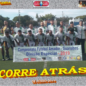 DIVISÃO ESPECIAL - 2019 - ULAFA -  FINAL