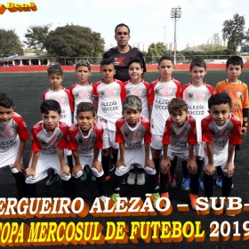 COPA MERCOSUL 2019