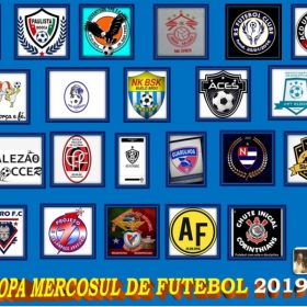 COPA MERCOSUL 2019