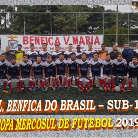 COPA MERCOSUL 2019