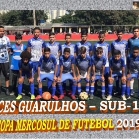 COPA MERCOSUL 2019