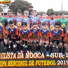 COPA MERCOSUL 2019