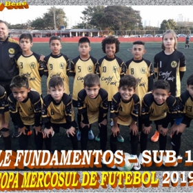 COPA MERCOSUL 2019