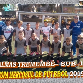 COPA MERCOSUL 2019