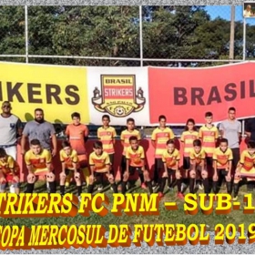 COPA MERCOSUL 2019