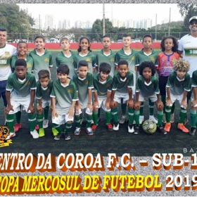 COPA MERCOSUL 2019