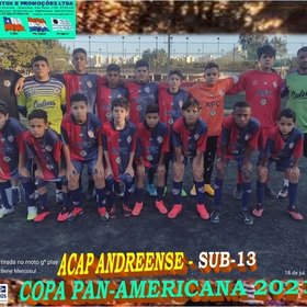 COPA PAN-AMERICANA 2021