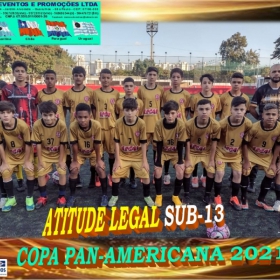 COPA PAN-AMERICANA 2021