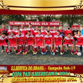 COPA PAN-AMERICANA 2021