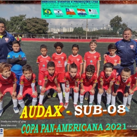 COPA PAN-AMERICANA 2021