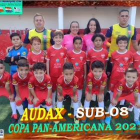 COPA PAN-AMERICANA 2021