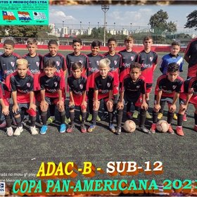 COPA PAN-AMERICANA 2021