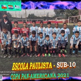 COPA PAN-AMERICANA 2021