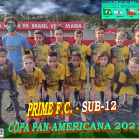 COPA PAN-AMERICANA 2021