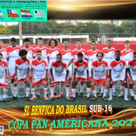 COPA PAN-AMERICANA 2021