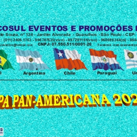 COPA PAN-AMERICANA 2021