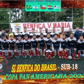 COPA PAN-AMERICANA 2021