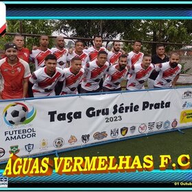 CACHOEIRA CAMPEÃO DA TAÇA GRU SERIE PRATA 2023