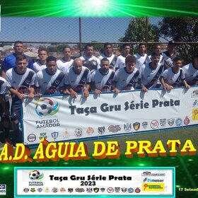 CACHOEIRA CAMPEÃO DA TAÇA GRU SERIE PRATA 2023