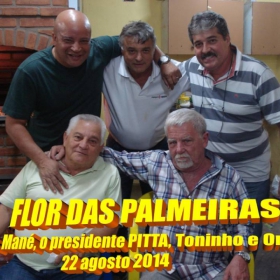 FLOR DAS PALMEIRAS