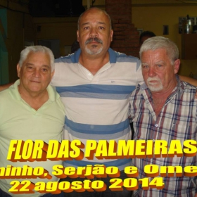 FLOR DAS PALMEIRAS