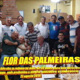 FLOR DAS PALMEIRAS