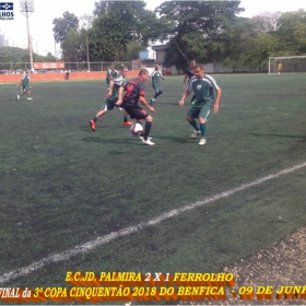 PALMIRA CAMPEÃO DA 3ª COPA CINQUENTÃO 2018 DO BENFICA