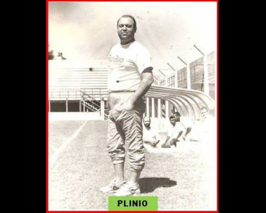 Plinio